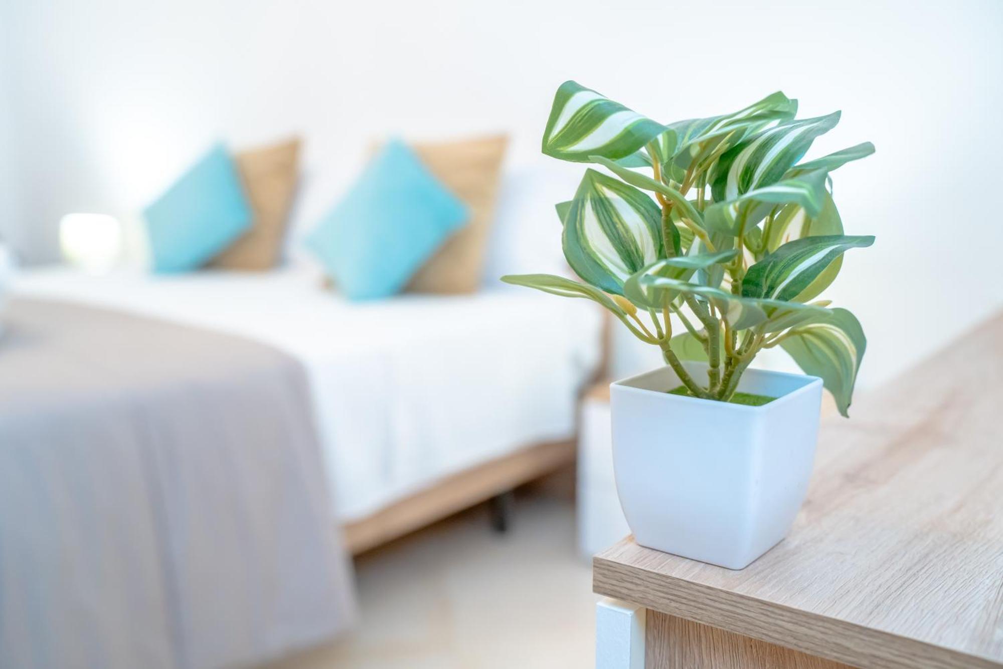 Dimora Dante 310 Apartment Bari Ngoại thất bức ảnh